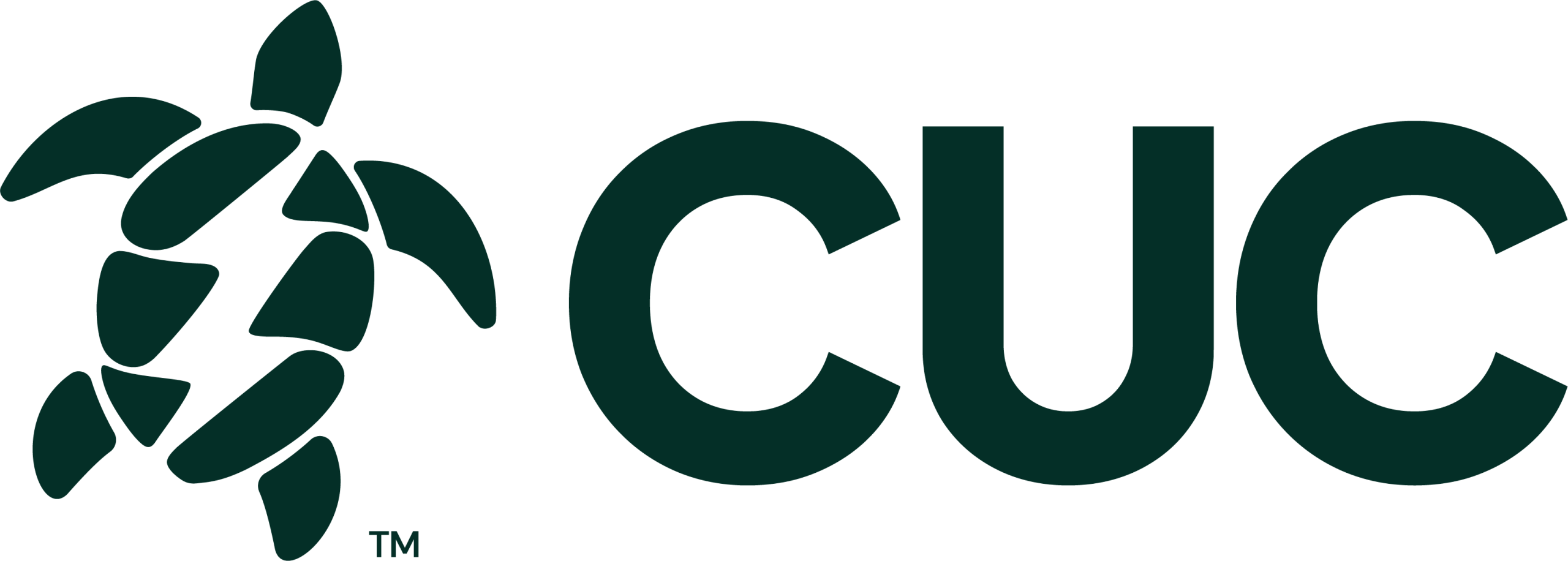 CUC 38th Annual 800m / 400m Sea Swim